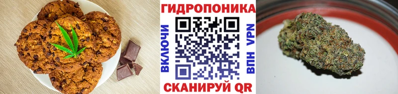 Купить закладки  Палласовка  Canna-Cookies конопля 