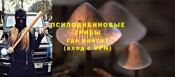 гашик Зеленодольск