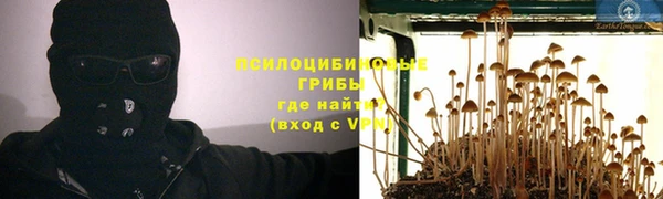 гашик Зеленодольск