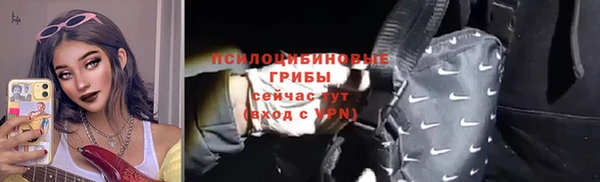гашик Зеленодольск