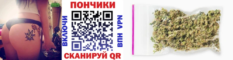 Бошки Шишки Amnesia Палласовка